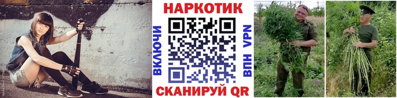 Как найти наркотики Верхняя Пышма Гашиш  COCAIN  Мефедрон  СОЛЬ  Псилоцибиновые грибы  Марихуана 