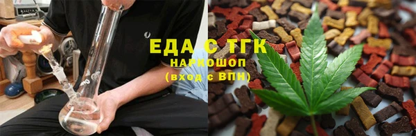 индика Богородицк