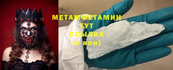 индика Богородицк