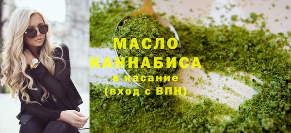 индика Богородицк