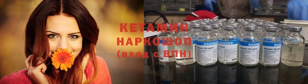 индика Богородицк