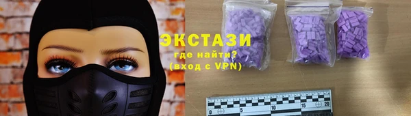 индика Богородицк