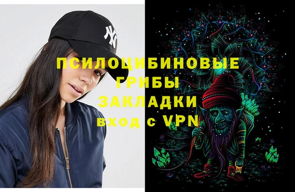 spice Богданович