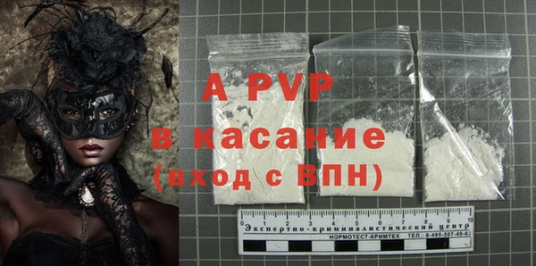 spice Богданович