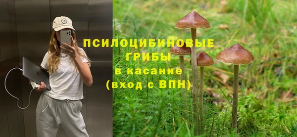 индика Богородицк