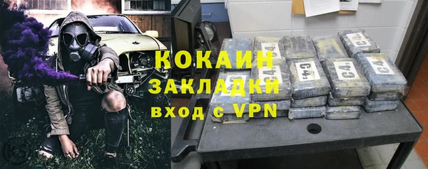 spice Богданович