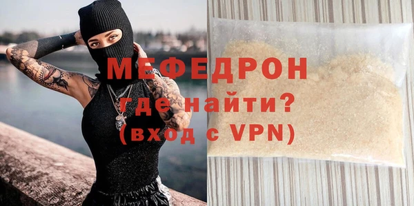 индика Богородицк
