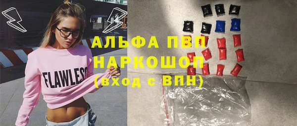индика Богородицк