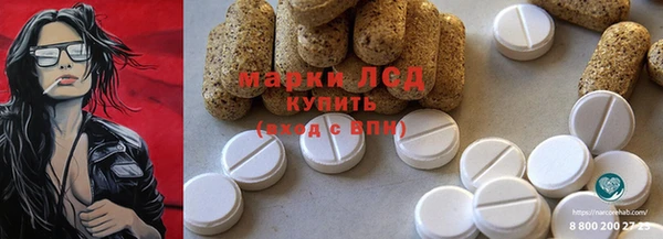 индика Богородицк