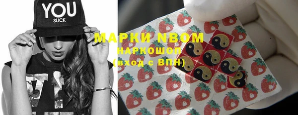индика Богородицк