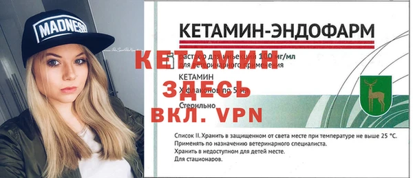 индика Богородицк