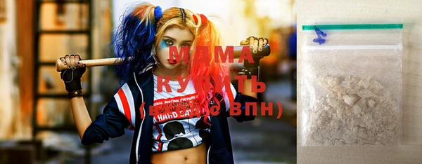 индика Богородицк