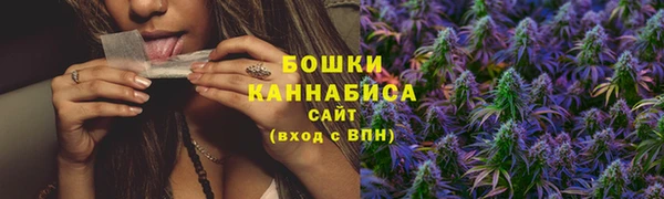 spice Богданович