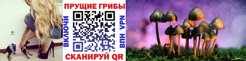 Псилоцибиновые грибы Magic Shrooms где можно купить Верхняя Пышма