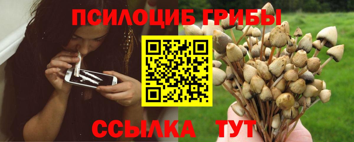 Галлюциногенные грибы Magic Shrooms  Вход с VPN  продажа наркотиков  Псилоцибиновые грибы Cubensis  Верхняя Пышма 