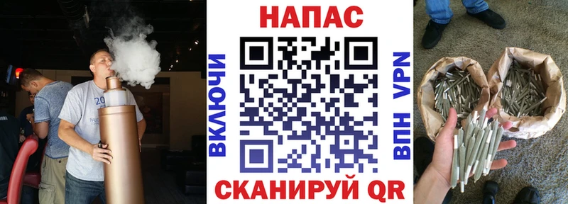 Шишки марихуана планчик Верхняя Пышма
